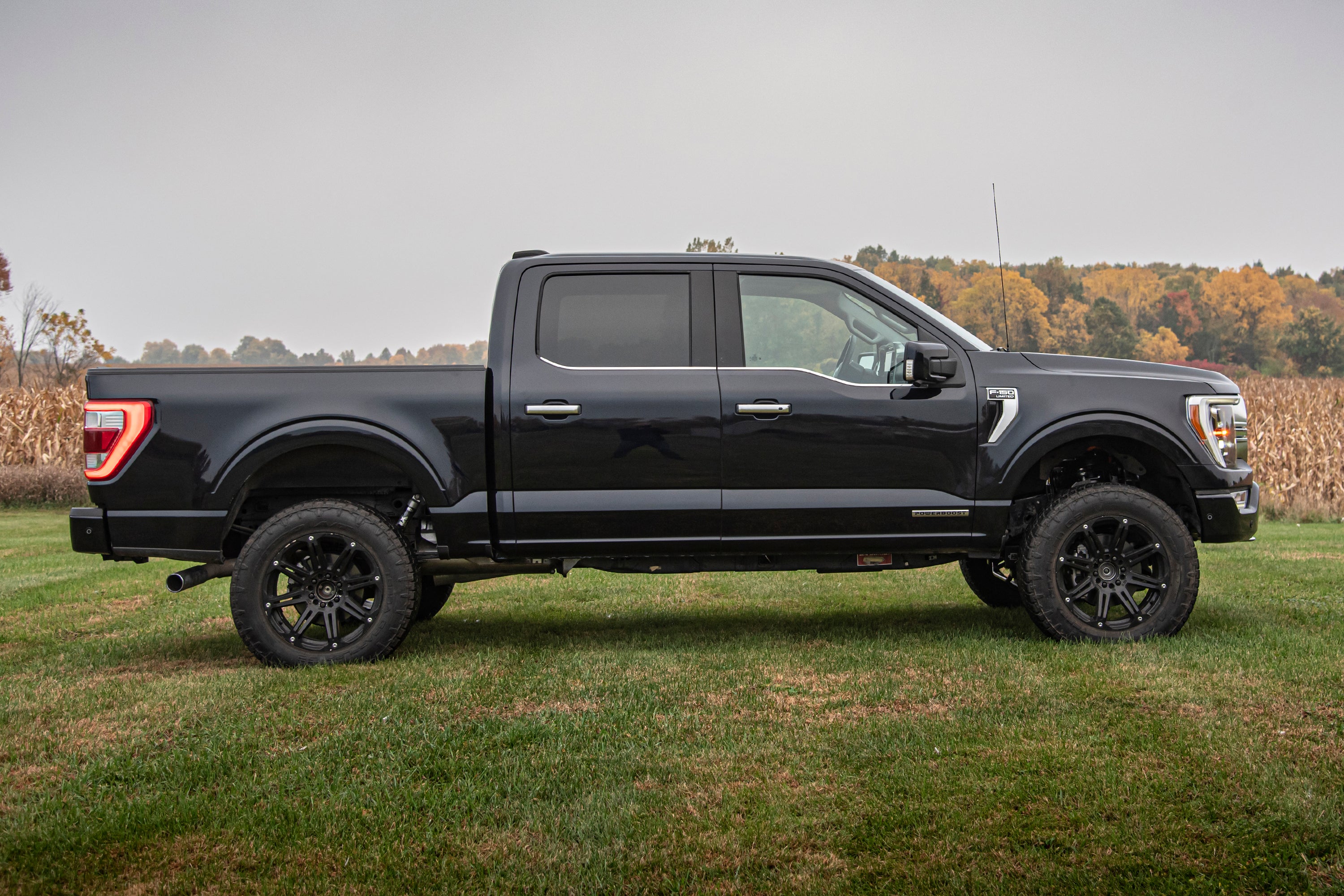 4 Inch Lift Kit - FOX 2.0 Strut - Ford F150 (21-24) 4WD